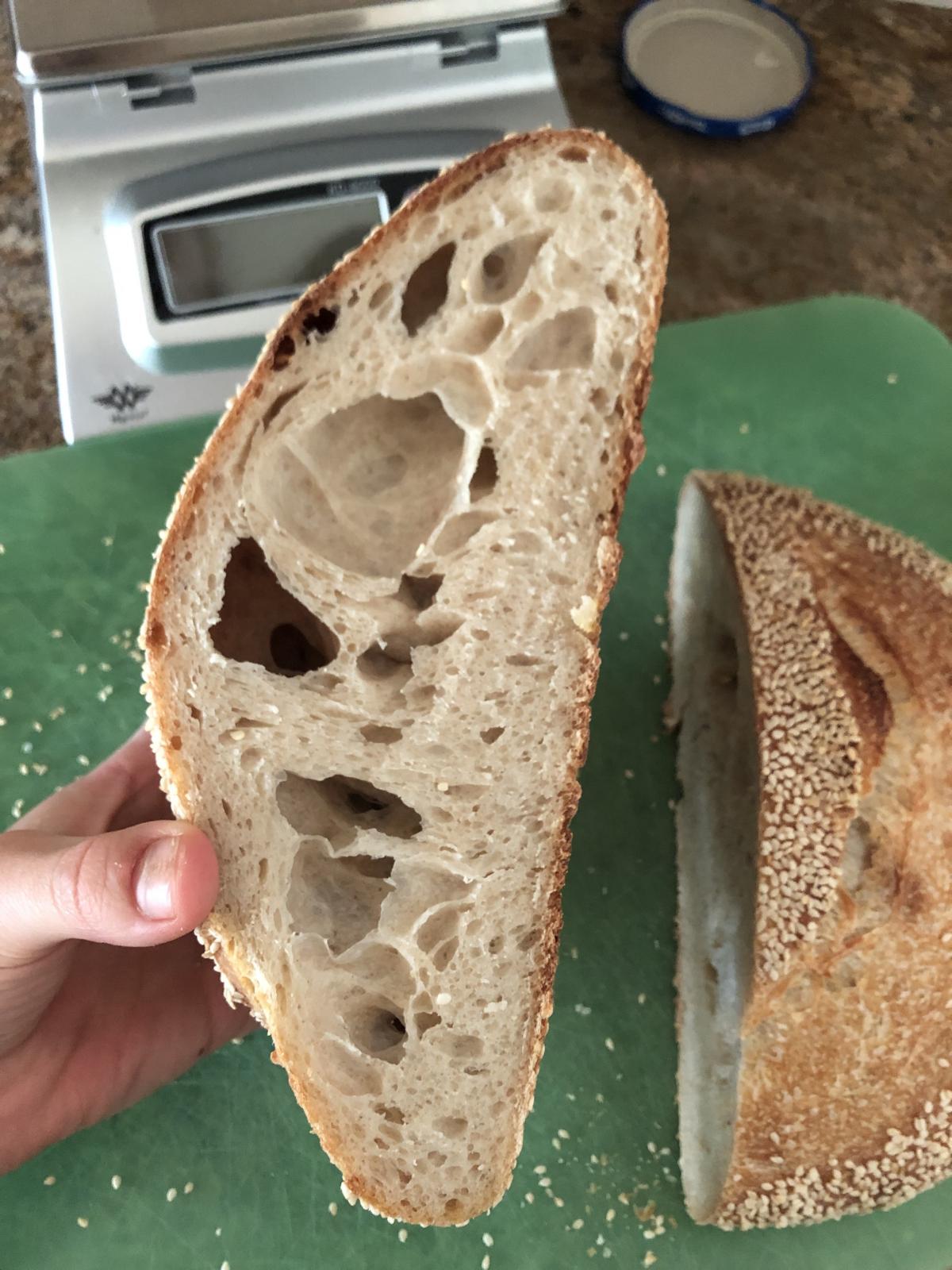 Holey top, dense bottom (overproofing?) The Fresh Loaf
